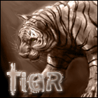 Tigr